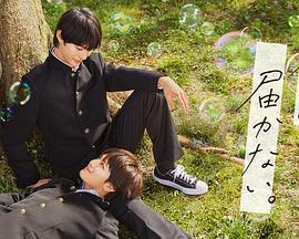 seo站内优化优惠火7星细心